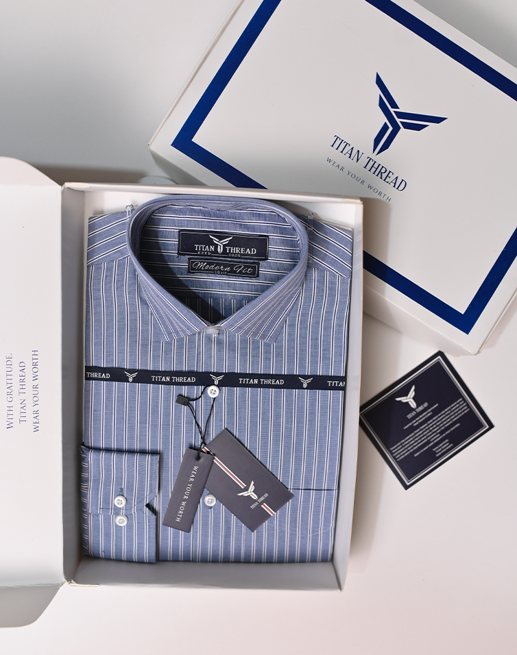 Awning Stripes in navy and white